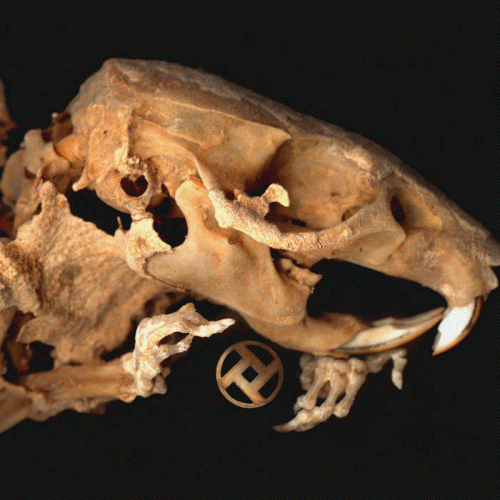 Rot In Hell : As Pearls Before Swine